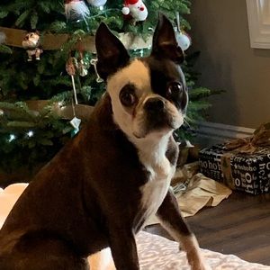 Meet your Posher, Natalie